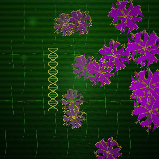 The Phosphor That Blooms