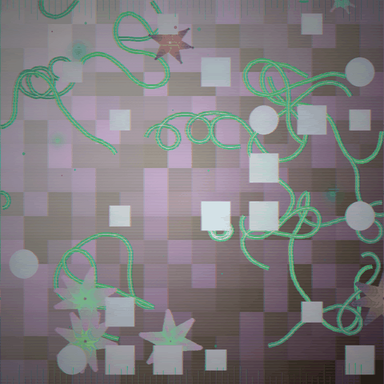 The Marble Memory Quarry