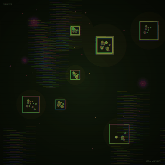 The Signal Mortality Museum