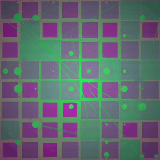 The Mathematician Who Forgot