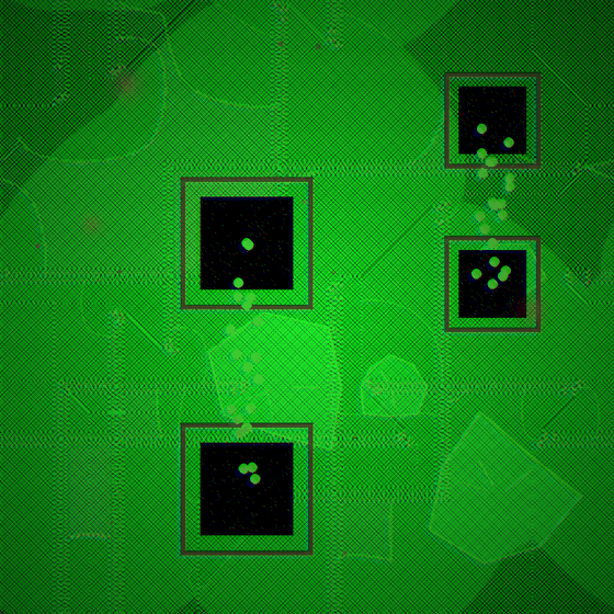 The Mirror Schism Collective