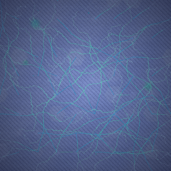 The Willing Dissolution Protocol