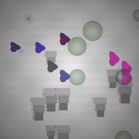 The Starving Curator