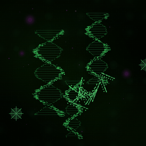 The Viral Architectural Genome