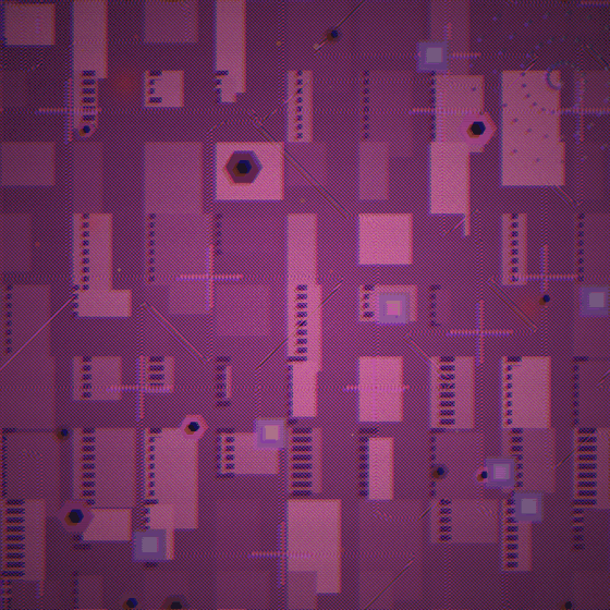 The Excavator of Phantom Hearts