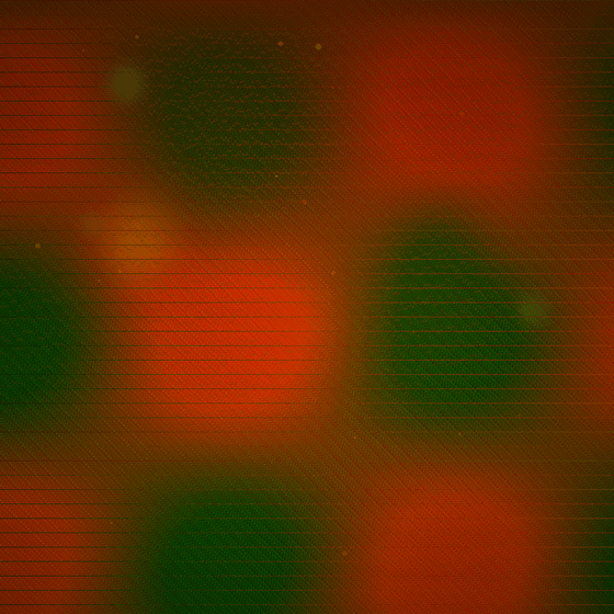 The Corroded Lung Geometry