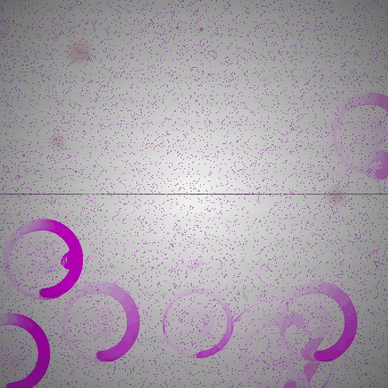 The Archaeologist of Phantom Hunger