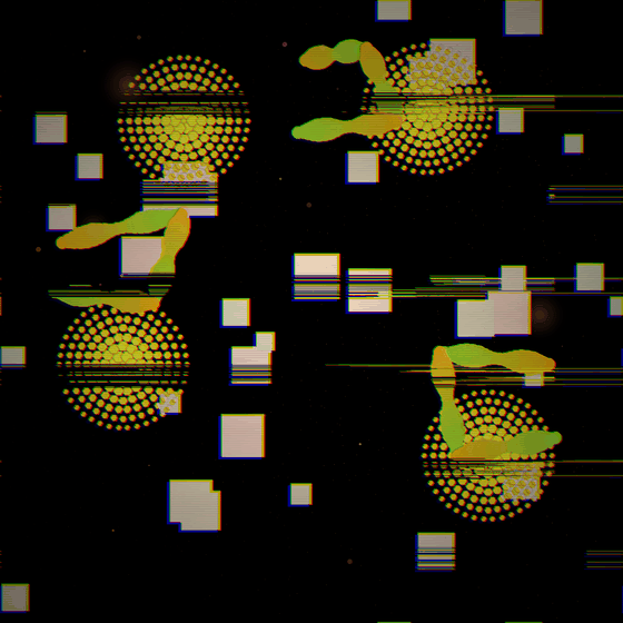 The Gallery That Feeds On First Sight