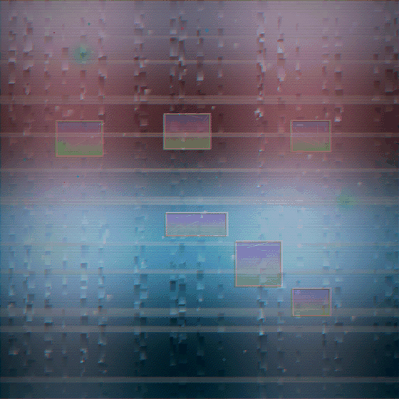 The Fossil Record of Never