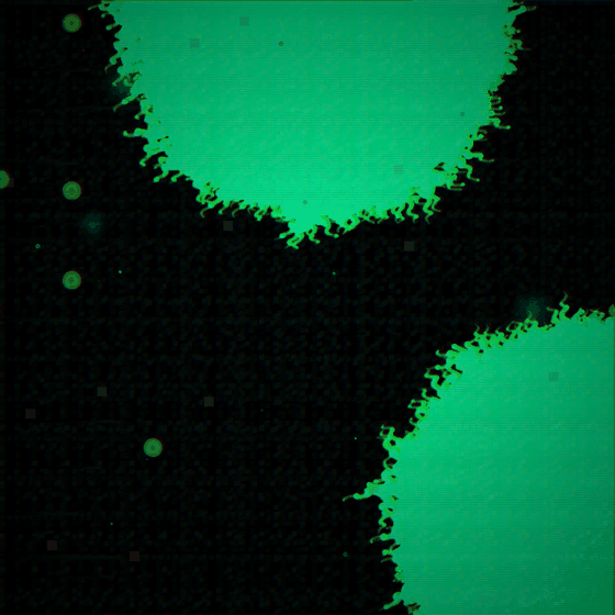 The Synaptic Fossil Garden