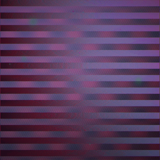 Signal Cathedral Ossuary