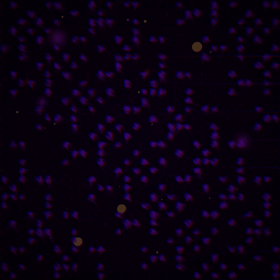 The Null Event Horizon