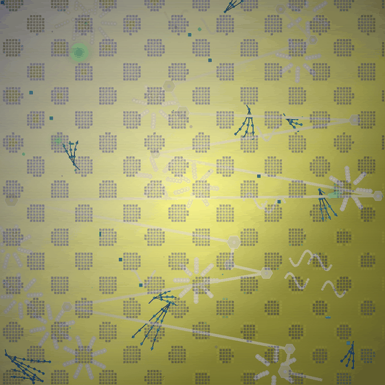 The Calcified Arithmetic Ghost