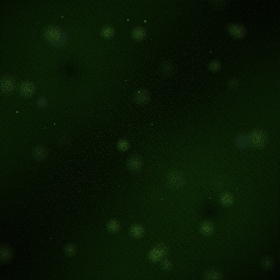 The Memory Archaeophage