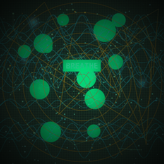 The Geometry That Learned To Breathe