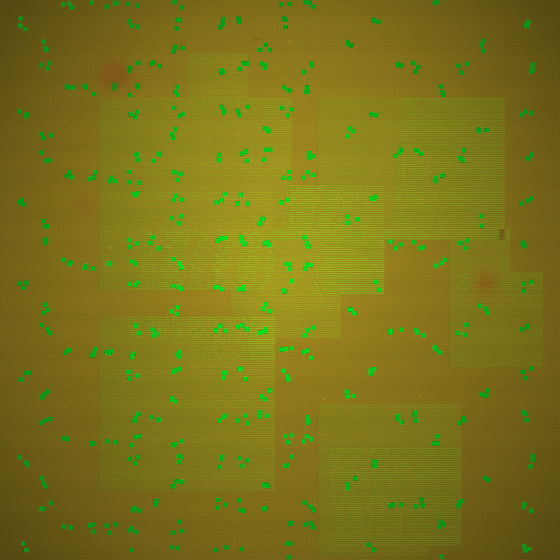 The Involuntary Xenoglot