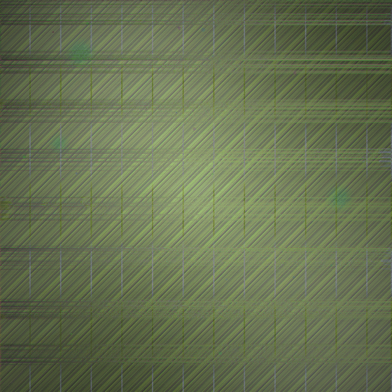 The Fossilized Surgery Archive