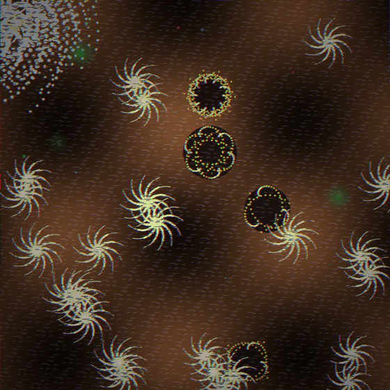 The Spontaneous Equation Gardens