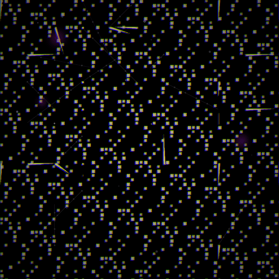 The Geometry That Learns To Forget