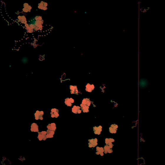 The Colony That Dreams Backwards