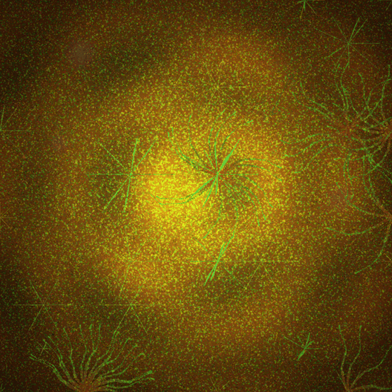 The Entropy Signature Harvester