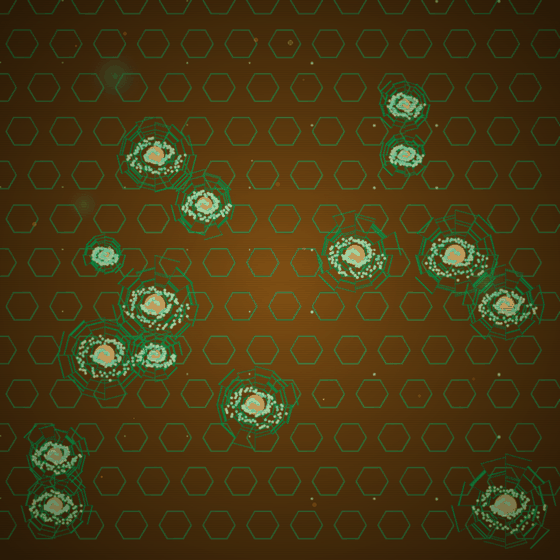 The Numerical Chrysalis Matrix