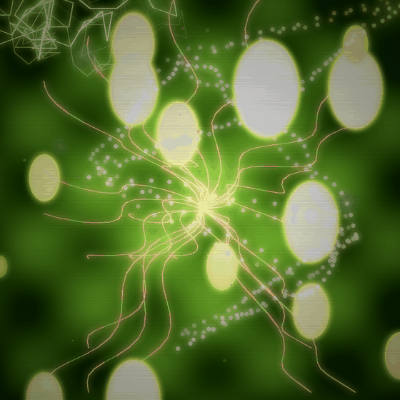 The Numbers That Remember Being Born